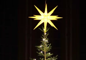 Weihnachtsbaum-Dom-2022 | Foto: G. Draschowski